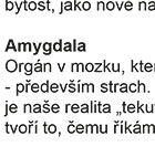 Amygdala - Tohle není ukřižování