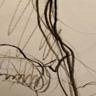 Salome a kyselina v kundě - cradle of filth