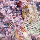 Amygdala, šišinka - otec totožný s synem a duch svatý