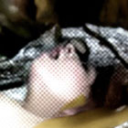 Trouchnivějící dřevo