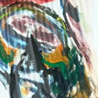 Salome a paliativní péče